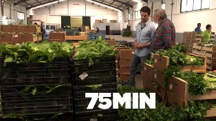 Resultado de imagen para andalucia cooperativas