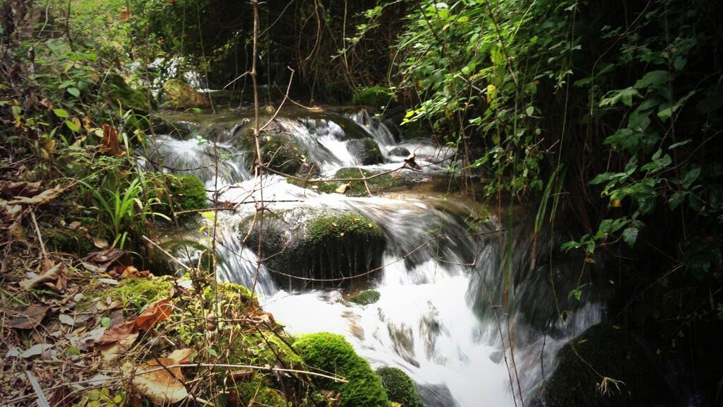 La Junta declara diez nuevos monumentos naturales en Andalucía