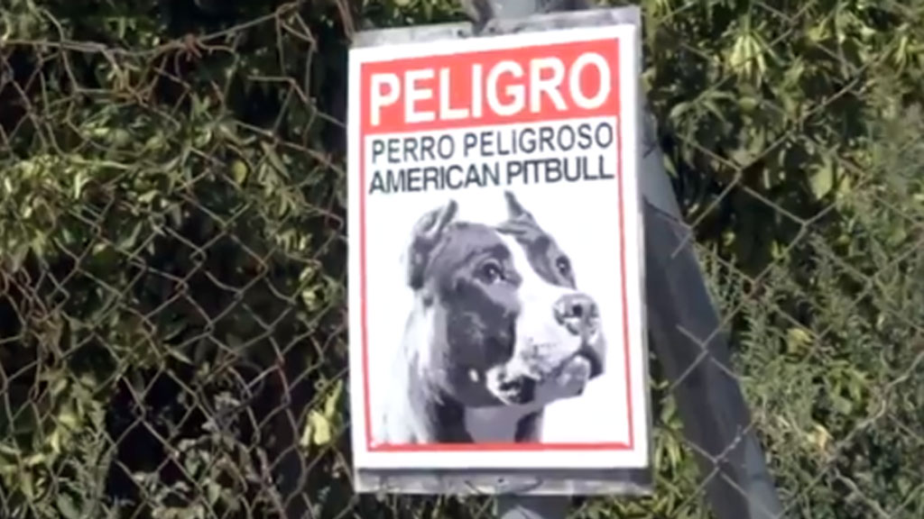 Denuncia por perros peligrosos en Cantillana