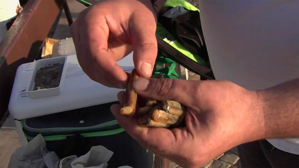 Lances ¿Cuáles son los mejores cebos para la pesca de la dorada?