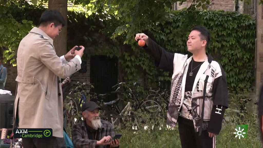 Recordando la manzana de Newton