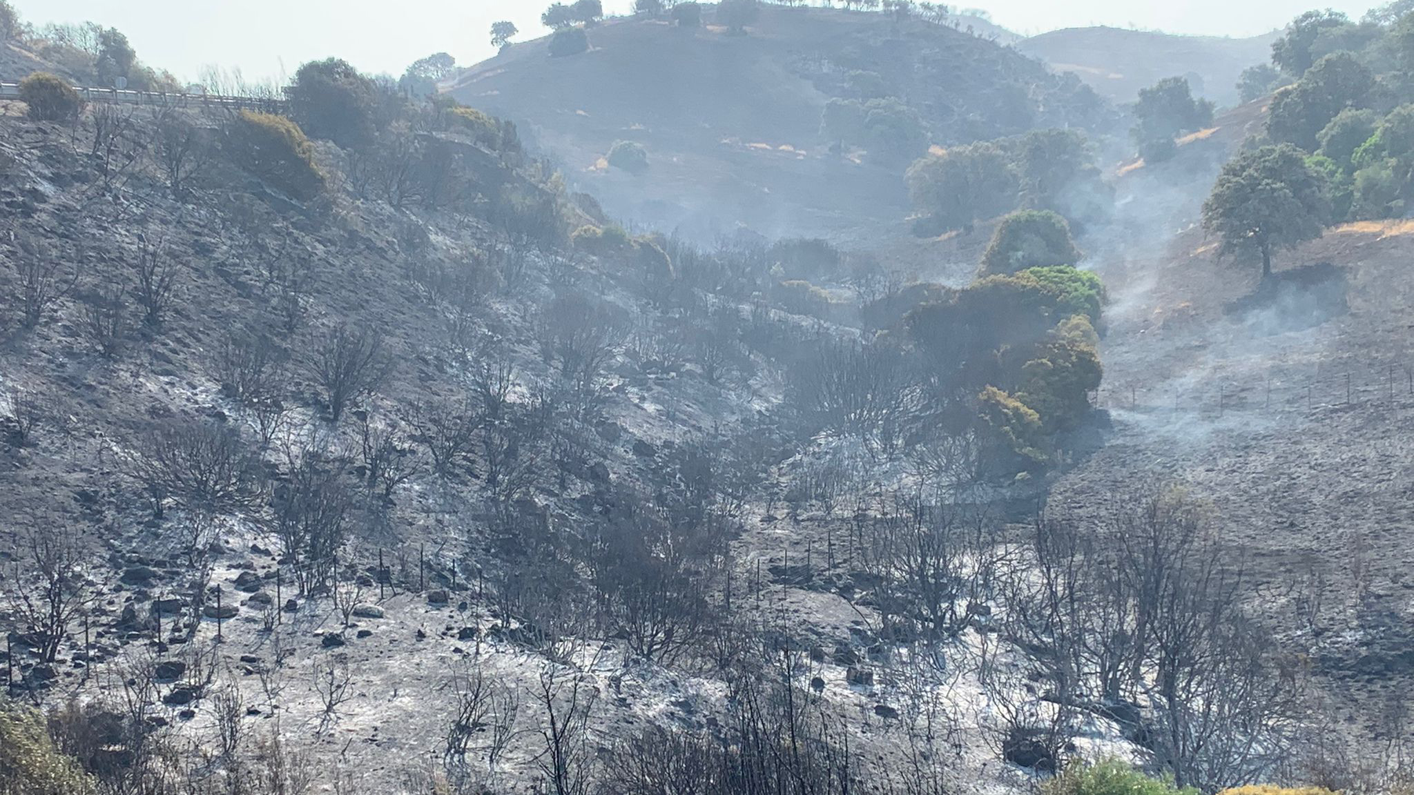 Canal Sur | Noticias - Cádiz