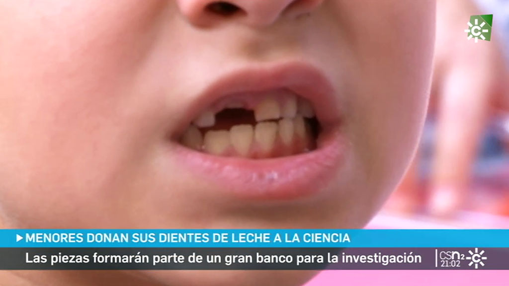 El origen del Ratoncito Pérez - Clínica Dental Prodental Híades