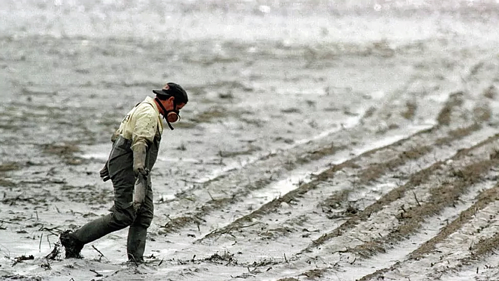 Comienza el juico contra Boliden por el desastre de Aznalcóllar, 25