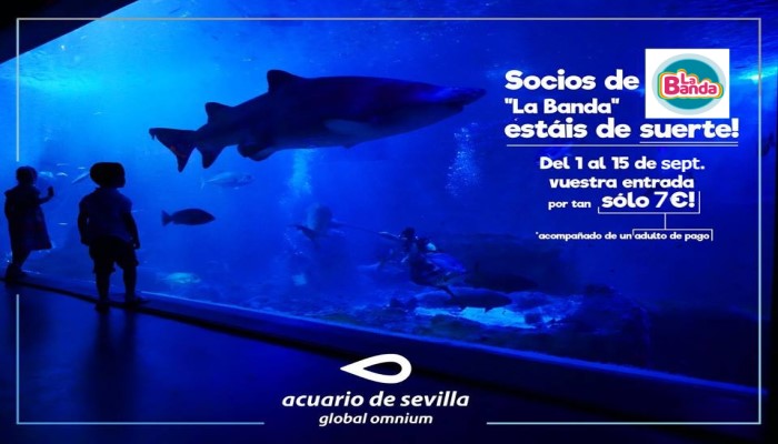 Acuario de Sevilla Acuario de Sevilla