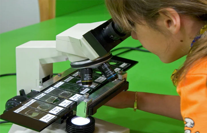 Caixaforum Sevilla Caixaforum Sevilla