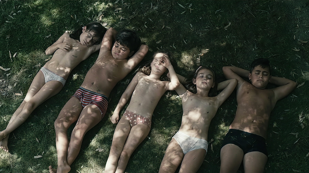 secaderos canal sur secaderos canal sur