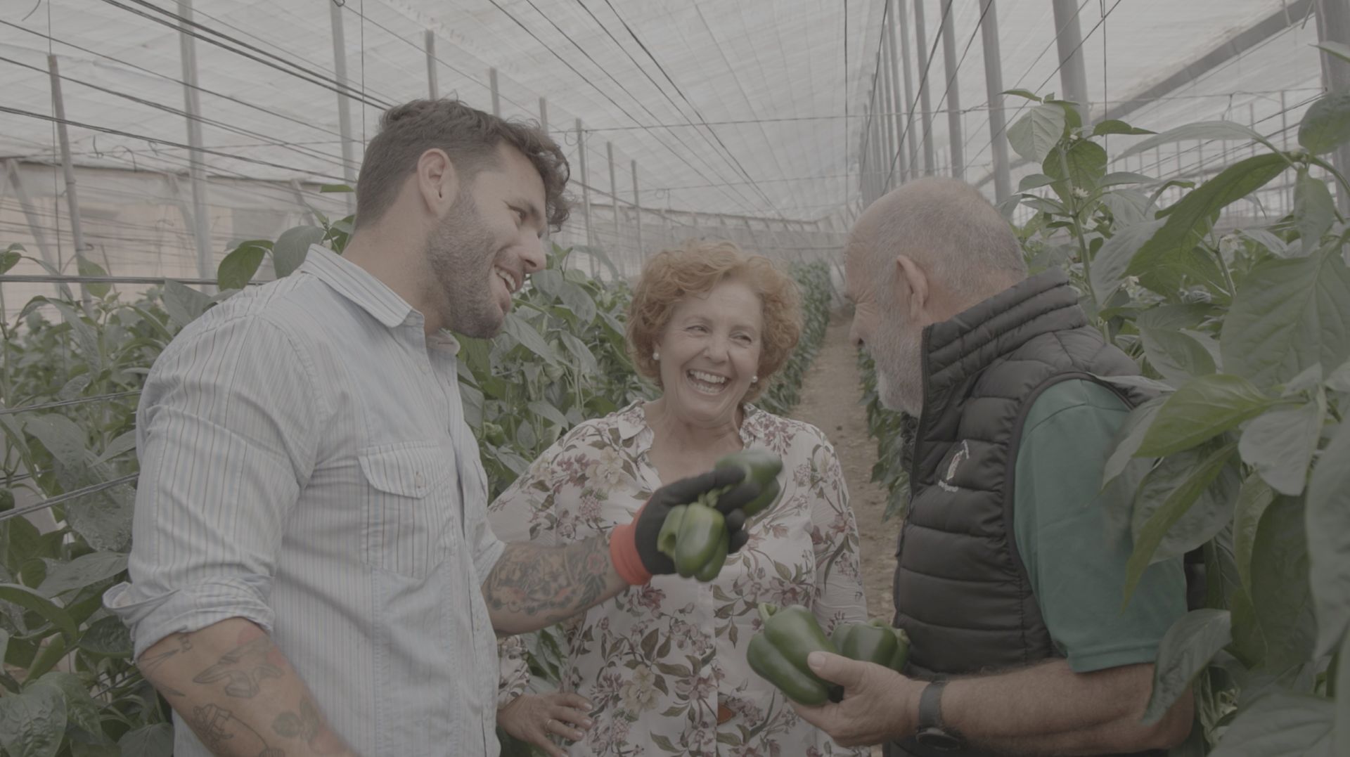 tierra de sabores canal sur tierra de sabores canal sur