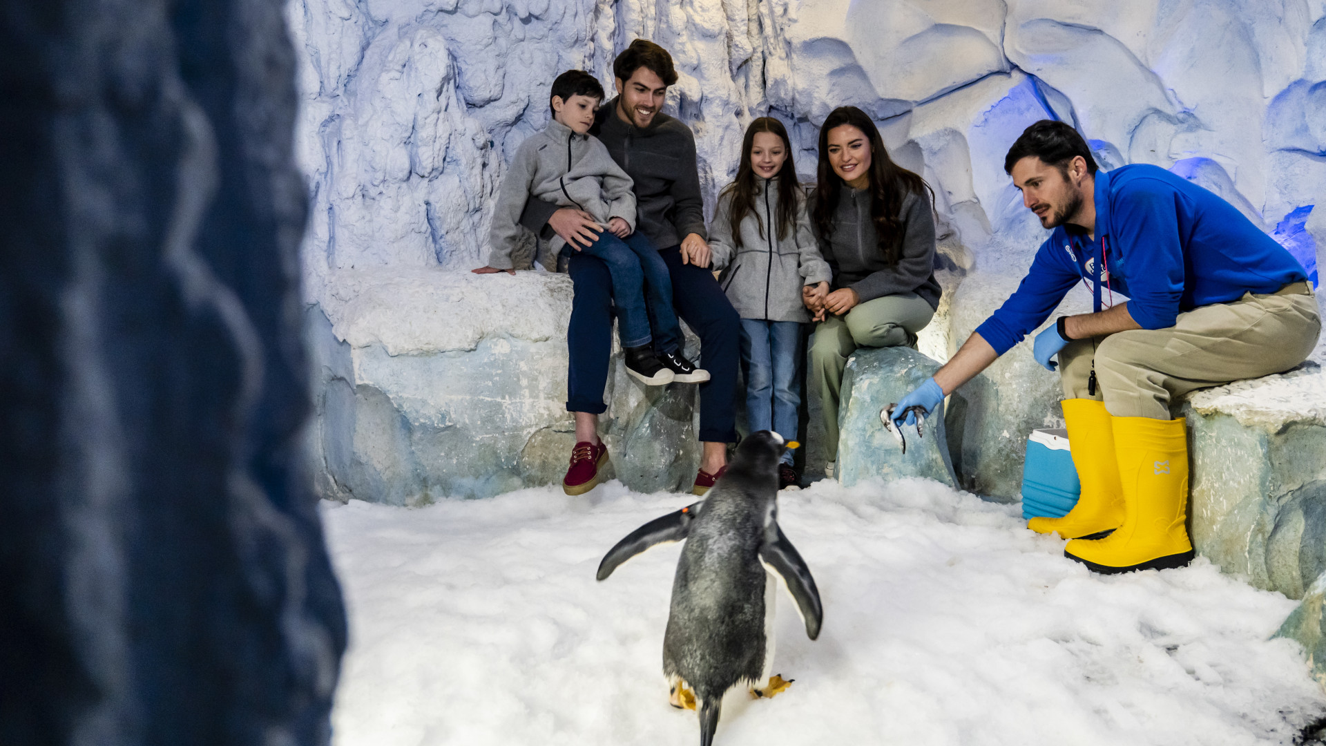 selwo marina la banda selwo marina la banda