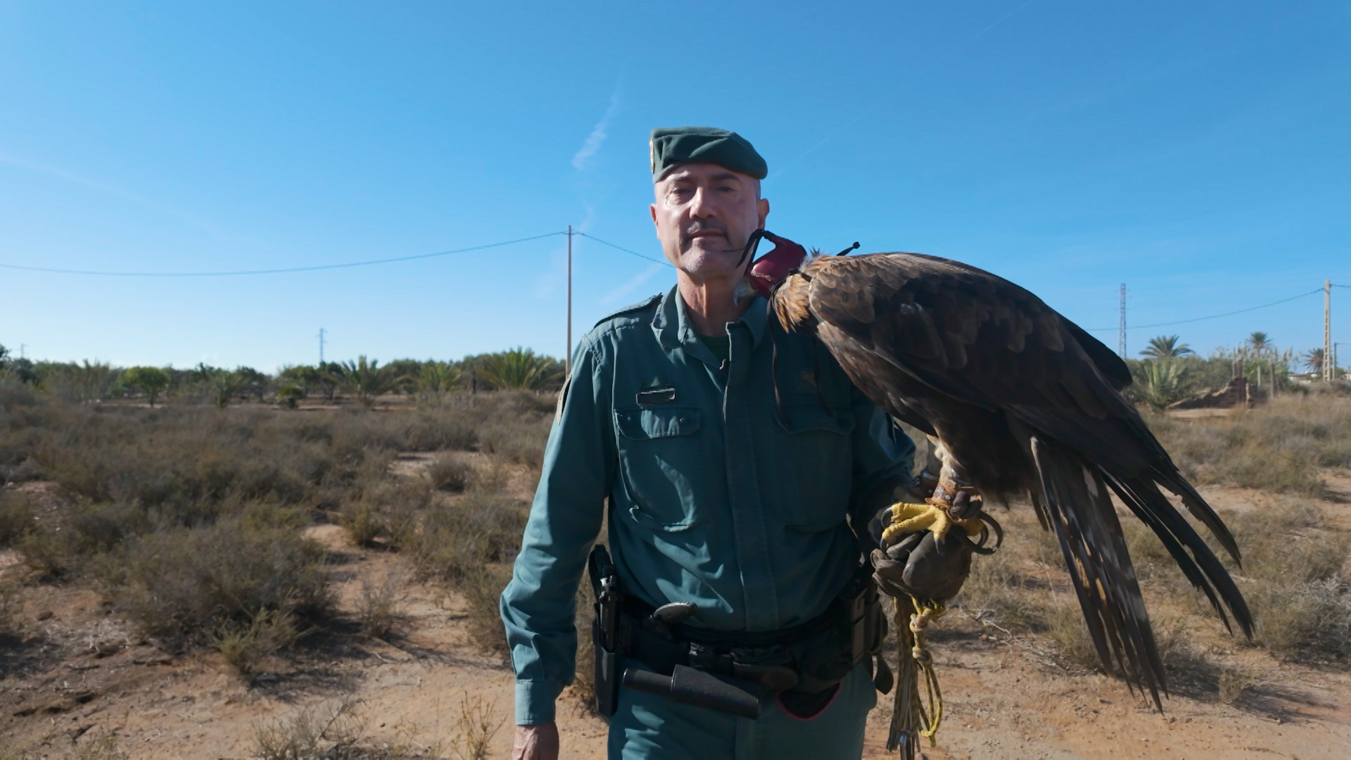 repobladores canal sur repobladores canal sur