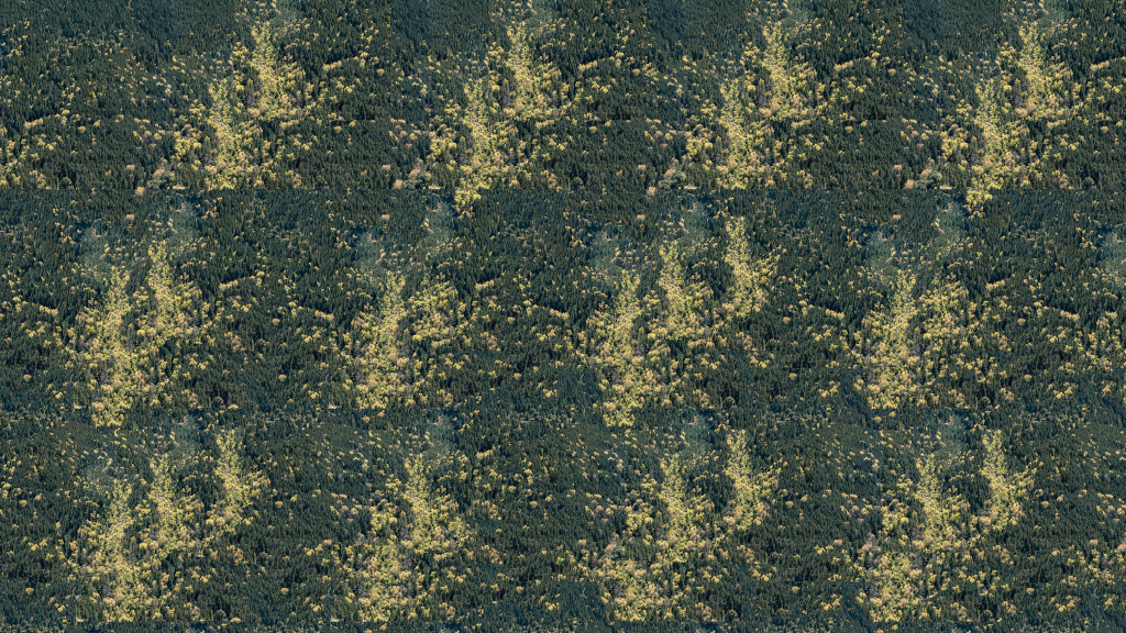 Paisajes sonoros RTVA Paisajes sonoros RTVA