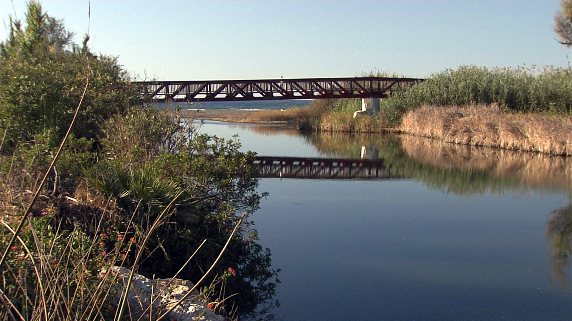 Lances Canal Sur Lances Canal Sur