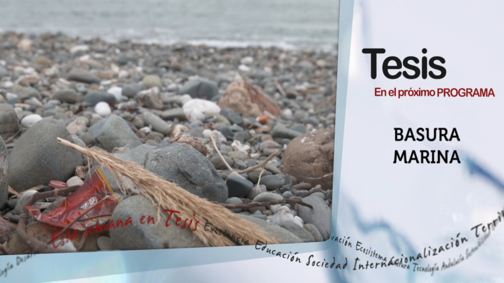 tesis canal sur tesis canal sur