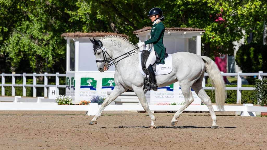 atv deportes canal sur