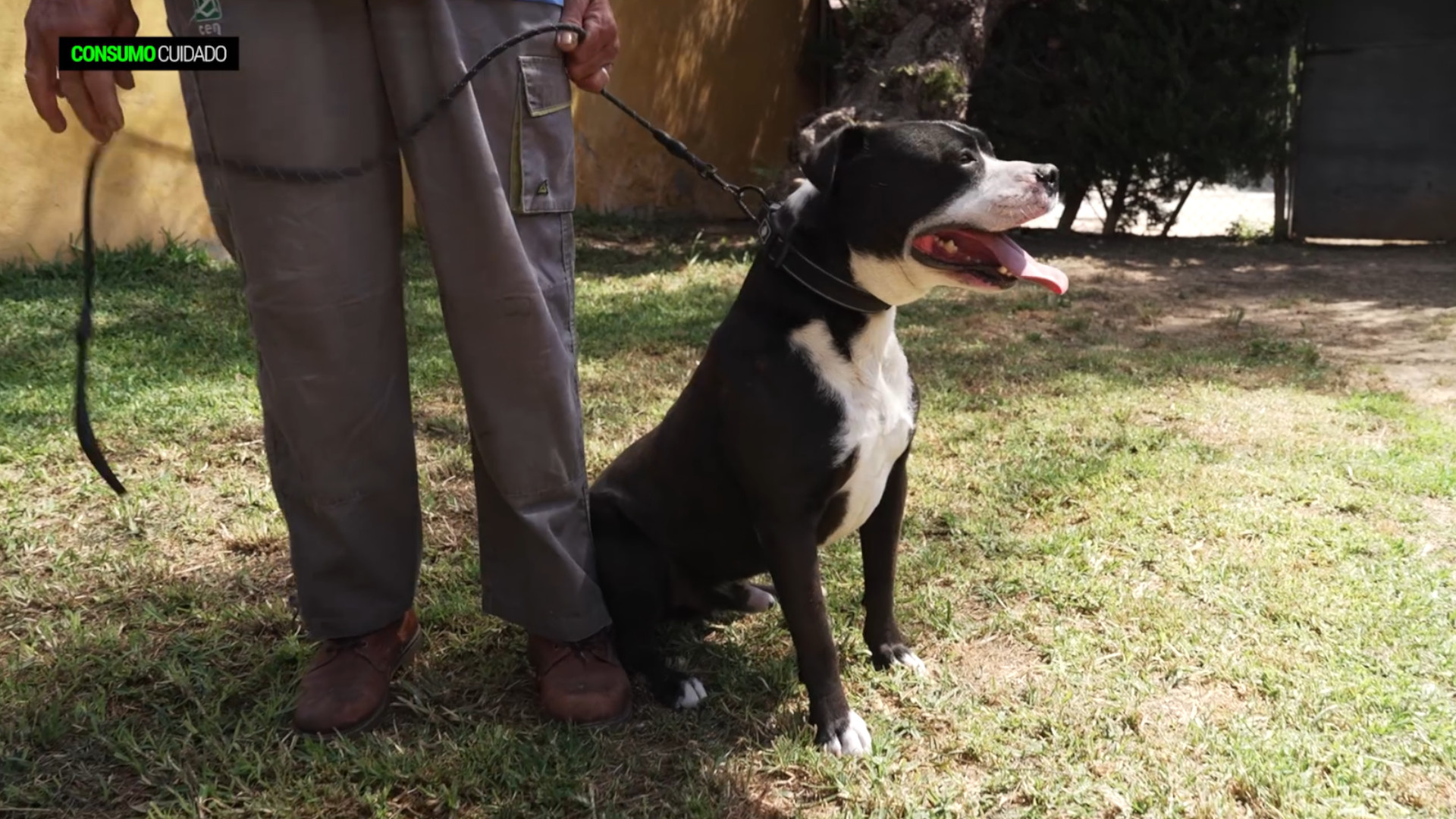 Consumo Cuidado Canal Sur Consumo Cuidado Canal Sur