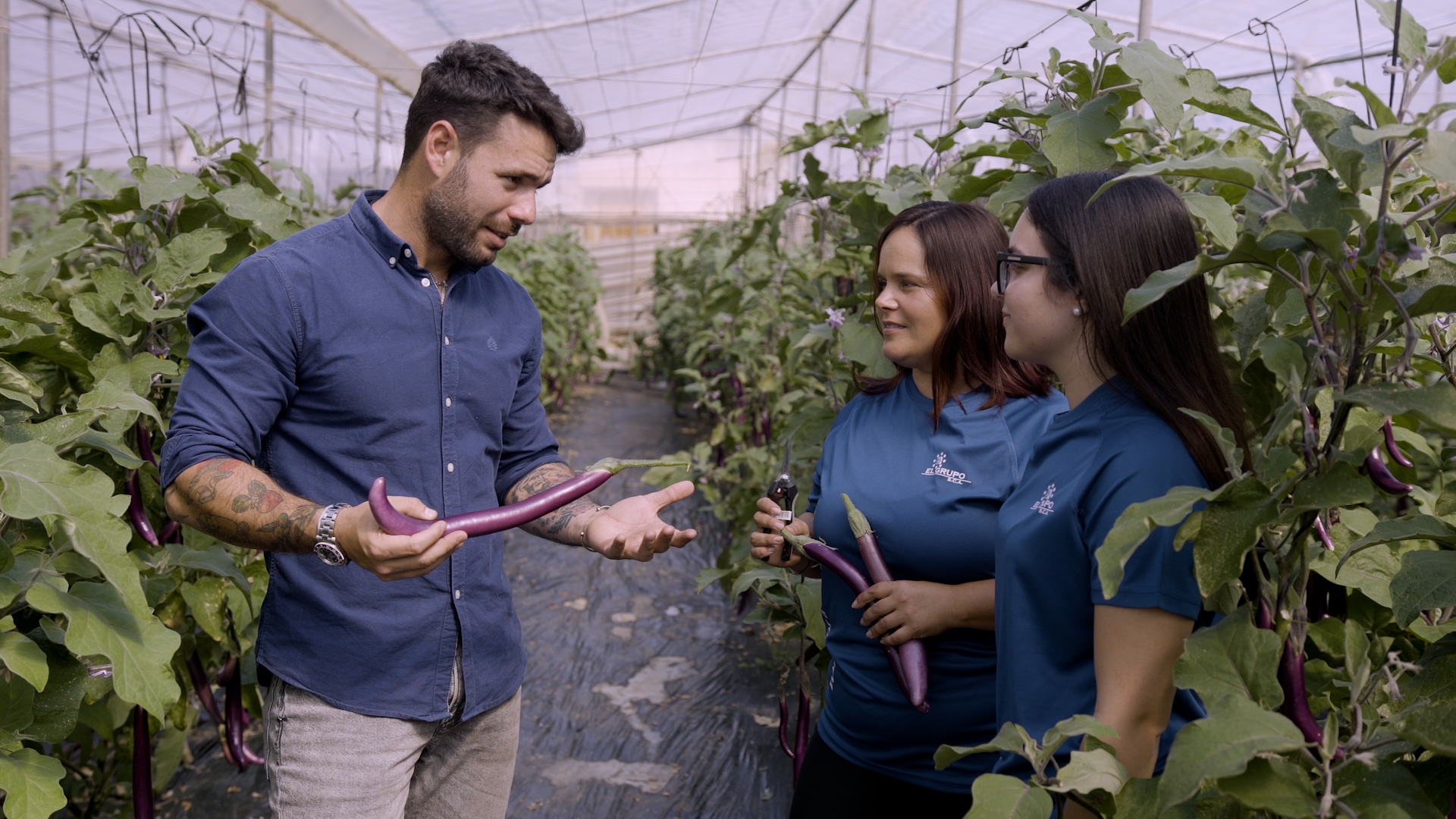 tierra de sabores canal sur