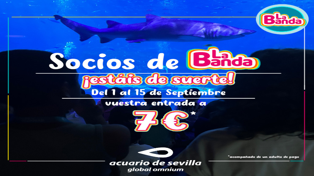 acuario de sevilla la banda acuario de sevilla la banda