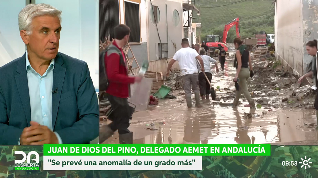 Juan de Dios del Pino: 