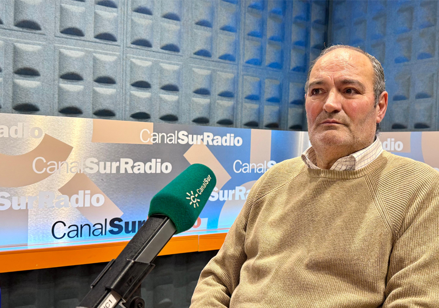 Elecciones en Los Gitanos. Antonio Moreno Santaella.