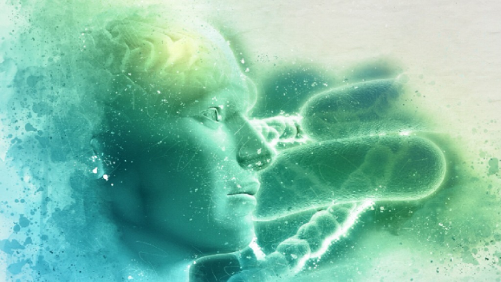 El misterio del desarrollo de la consciencia El misterio del desarrollo de la consciencia