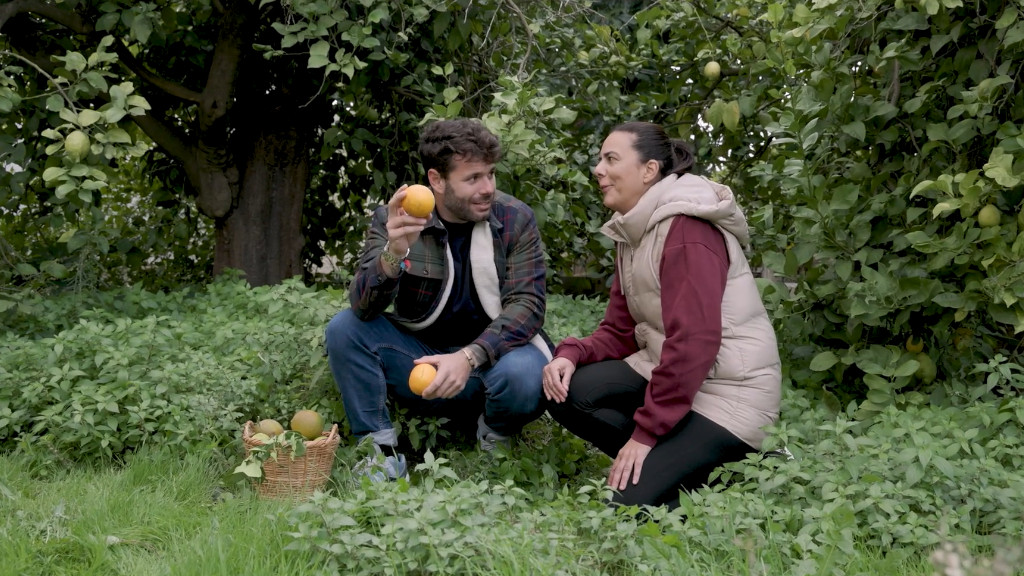 tierra de sabores canal sur