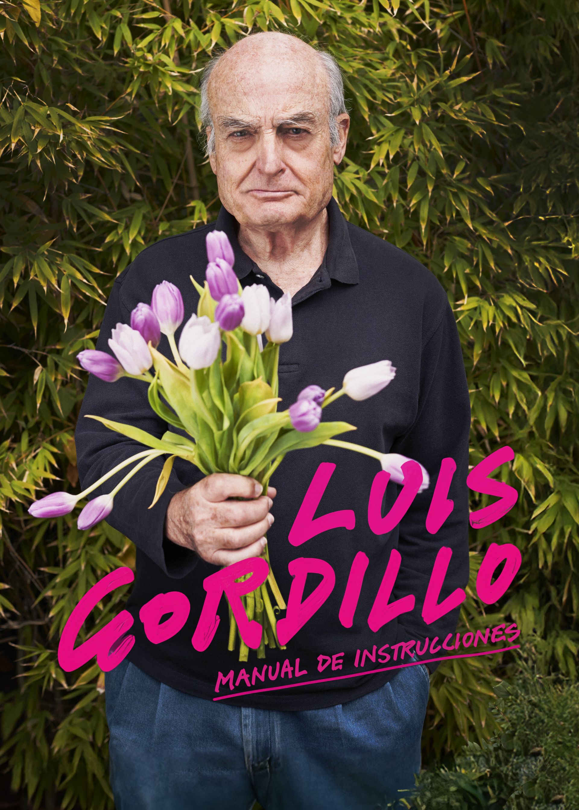 luis gordillo manual de instrucciones