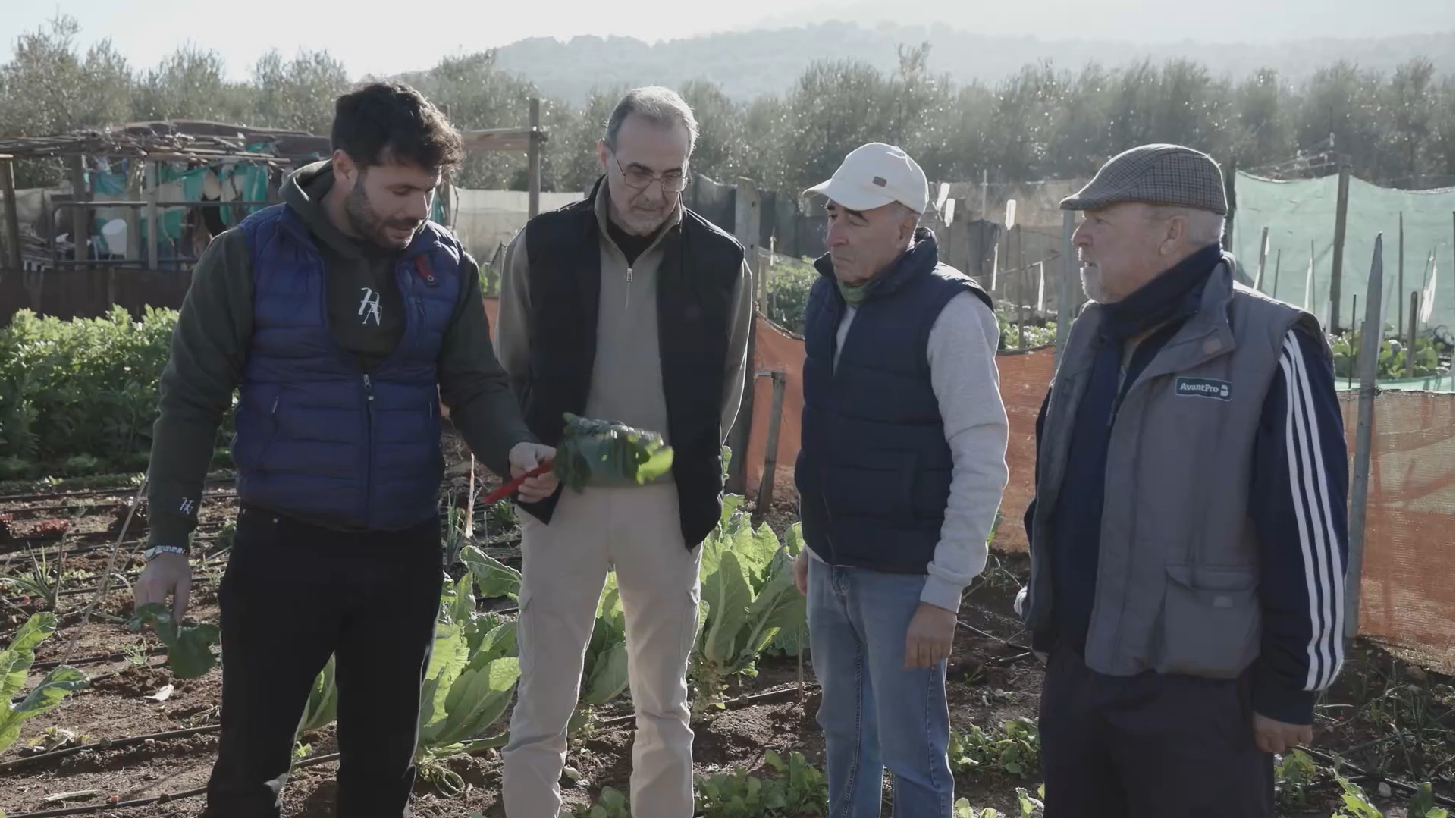 tierra de sabores canal sur tierra de sabores canal sur